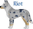 riot-3.gif