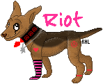 riot-5.gif