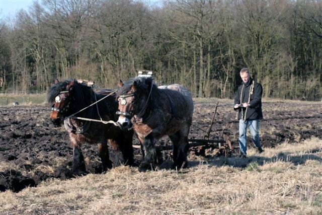 Archief Qualiteit, met een glimlach. Archief Qualiteit, met een glimlach.