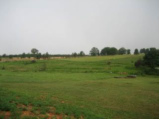 View of the corner where we would build a house.