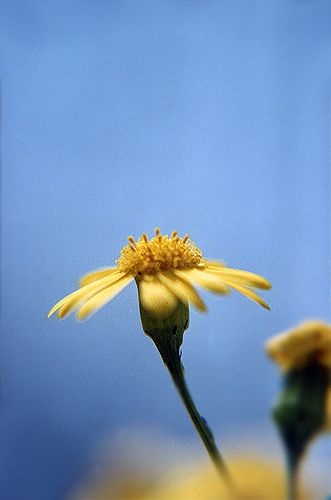 b22d4973.jpg