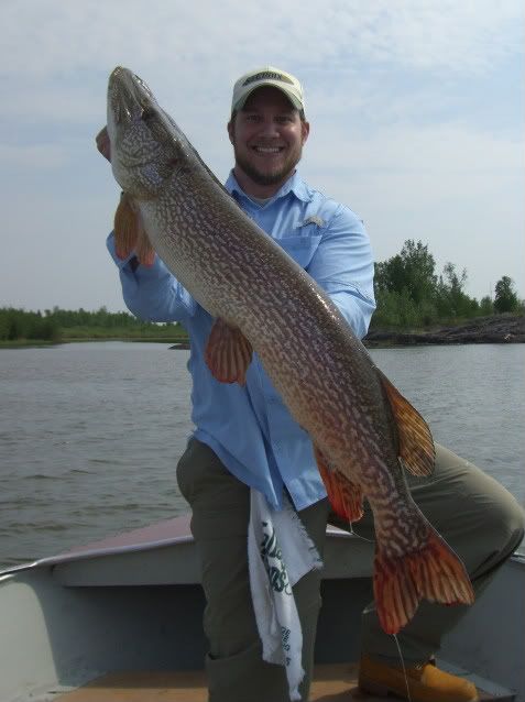 taltson bay,trophy pike