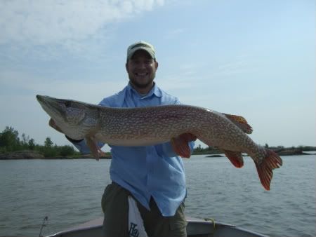 taltson bay,trophy pike