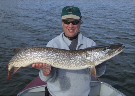 taltson bay,trophy pike