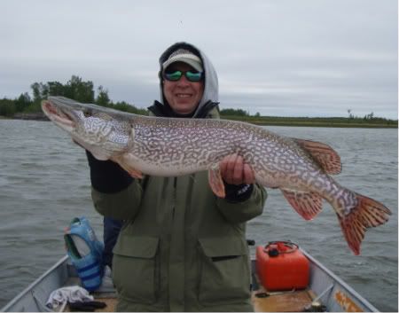 taltson bay,trophy pike