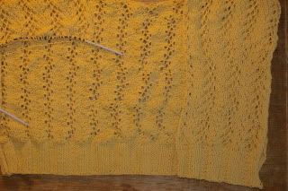 Vine Cardi 2