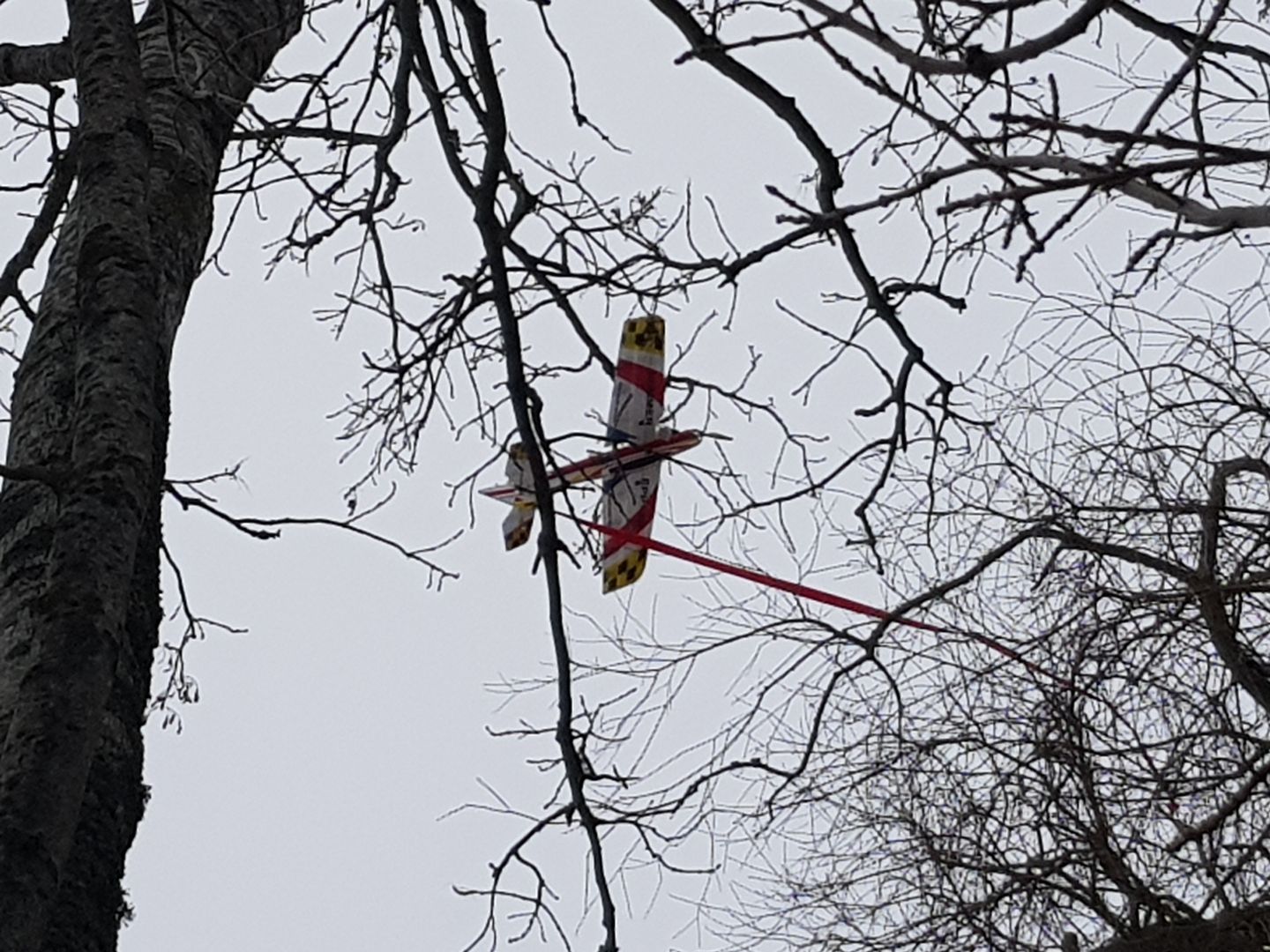 rc plane stuck in tree