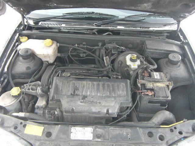 12186472_8X.jpg