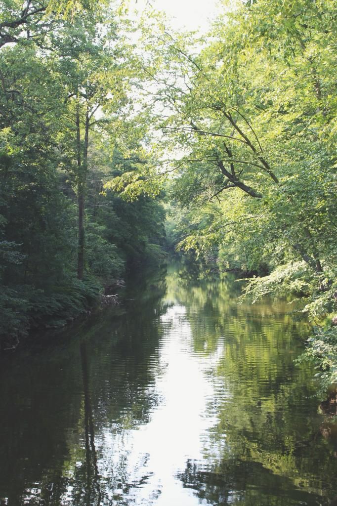 wolf and lace blog fashion style beauty hair makeup hippie gypsy boho bohemian girl girls woman women cute love beautiful fun pretty swag stylish design model outfit look lookbook ootd jewelry shopping accessories bag purse glam how to diy boots shoes heels free people freepeople fp fpgirls fpme ideas grunge vintage