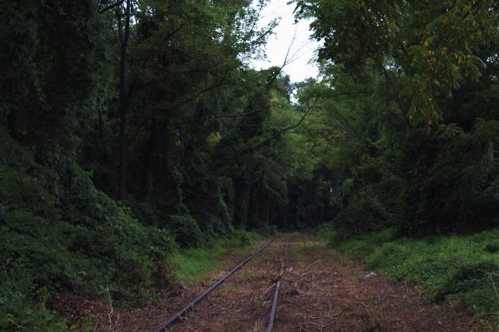 wolf and lace blog fashion style beauty hair makeup hippie gypsy boho bohemian girl girls woman women cute love beautiful fun pretty swag stylish design model outfit look lookbook ootd jewelry shopping accessories bag purse glam how to diy boots shoes heels free people freepeople fp fpgirls fpme ideas diy marilyn monroe crop top jeffrey campbell rum moto boots