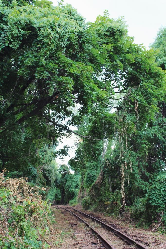 wolf and lace blog fashion style beauty hair makeup hippie gypsy boho bohemian girl girls woman women cute love beautiful fun pretty swag stylish design model outfit look lookbook ootd jewelry shopping accessories bag purse glam how to diy boots shoes heels free people freepeople fp fpgirls fpme ideas diy marilyn monroe crop top jeffrey campbell rum moto boots