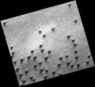 M0102950.jpg