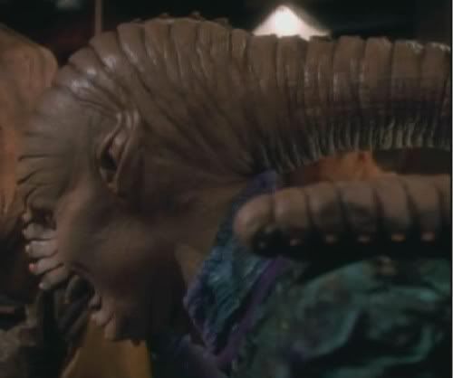 Tailhead.jpg