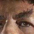spock.jpg