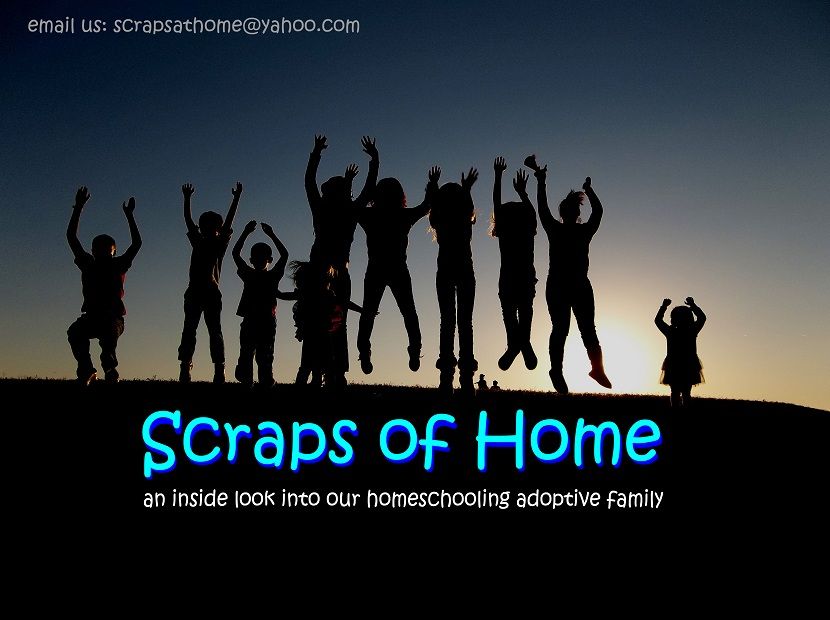 Scraps of Home