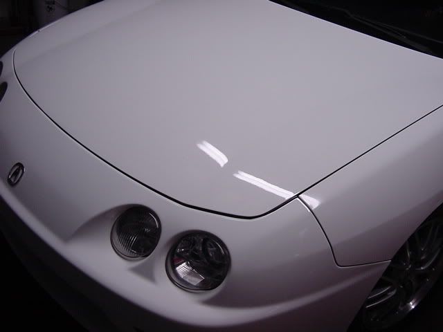 DSC03815.jpg
