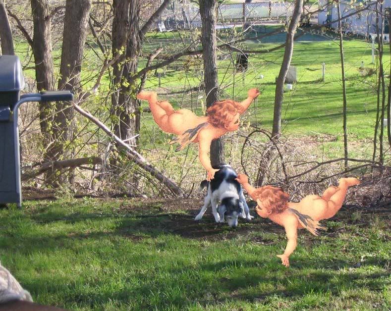 Photobucket - Video and Image Hosting