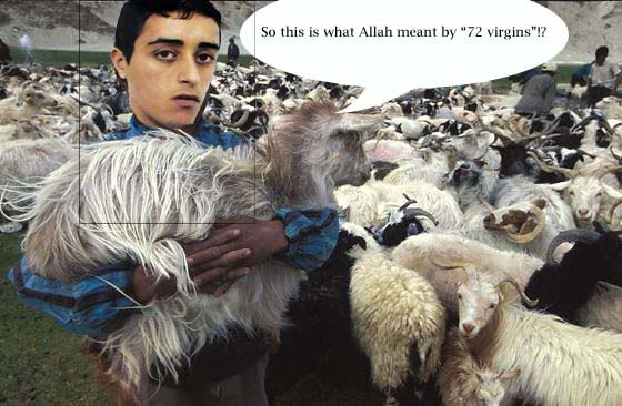 72_Virgin_Goats.jpg