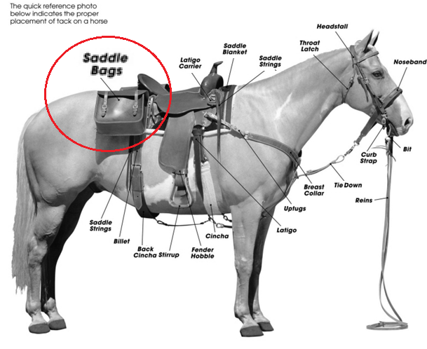 horse%20Saddle%20bags.png