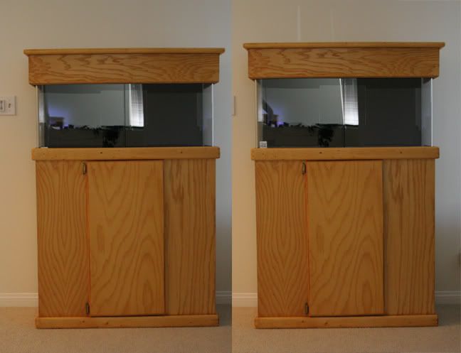 heightcomparison - 40 GALLON OR BUST!!!