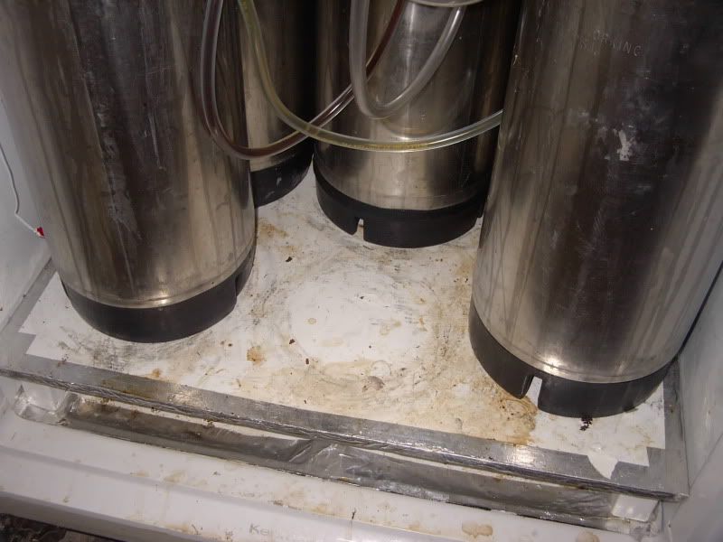 Kegerators, how often do you clean yours? Page 1