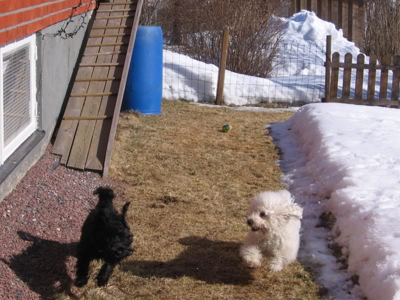 Bild055060324.jpg