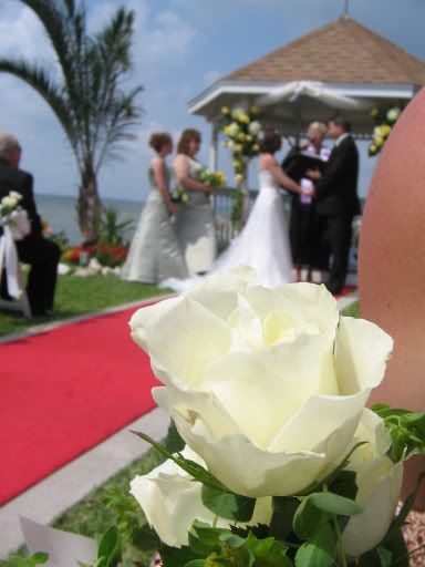 IMAGE: http://i6.photobucket.com/albums/y249/SublimeEp/Florida%20Wedding/IMG_2607.jpg