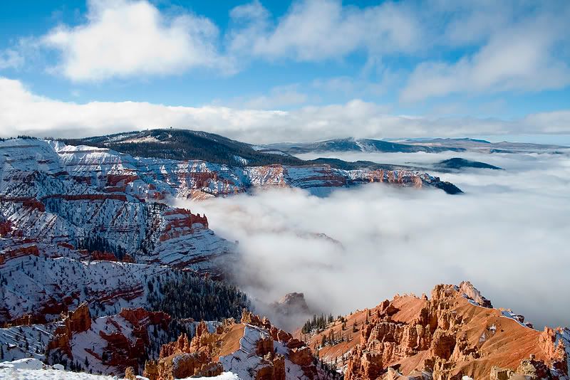 IMAGE: http://i6.photobucket.com/albums/y249/gatorscp/IMG_2972-1.jpg