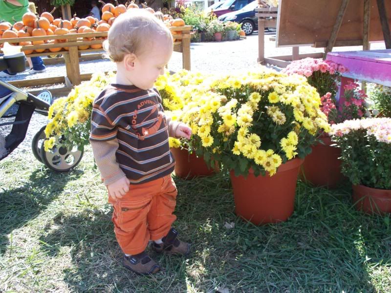 100_1519.jpg