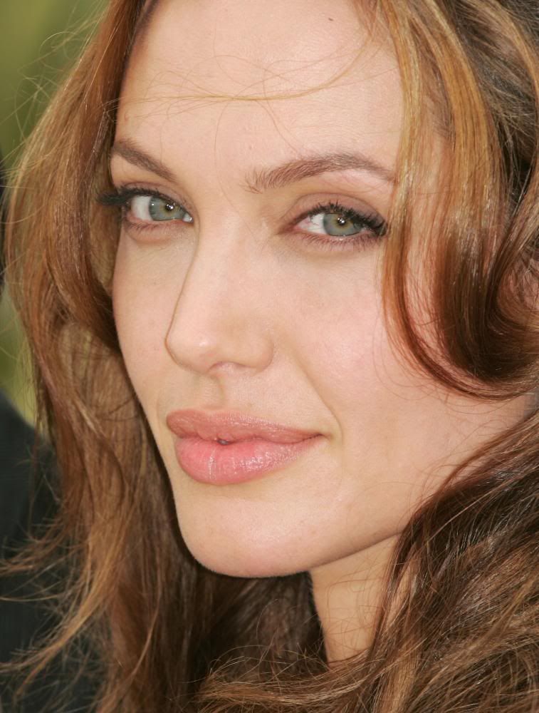 angelina jolie plastic surgery nose. The nose does not look the