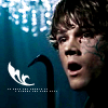 Image hosted by Photobucket.com