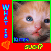 konkurs-3.gif