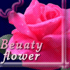rose.gif