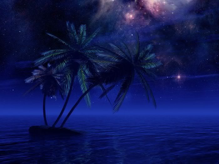 5Bwallcoo_com5D_Tropical_Night_Expe.jpg Tropical Night image by shel304