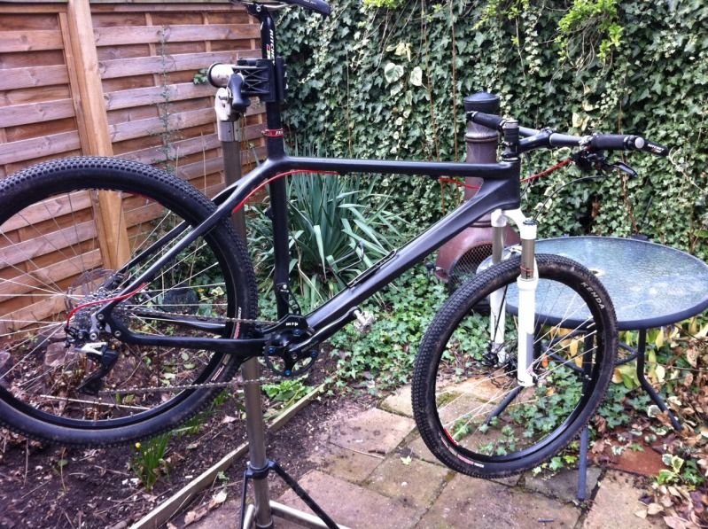 on one whippet frame
