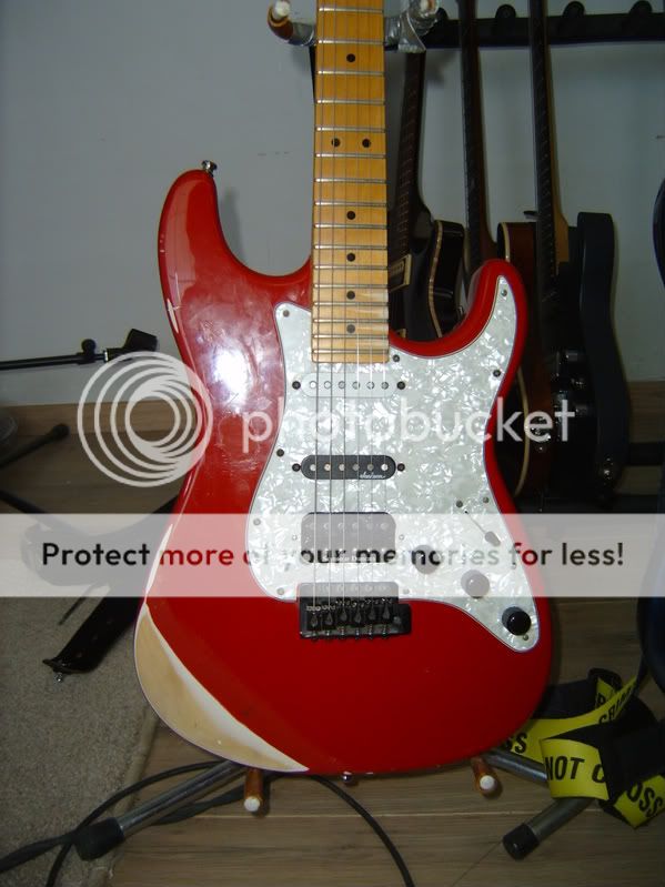 S5300172.jpg
