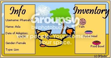 User Image