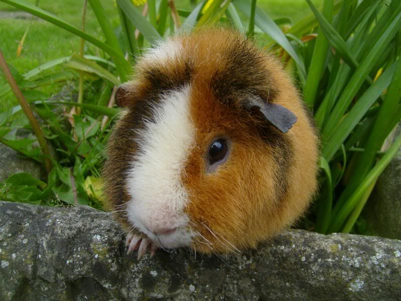 CasperCheeseArranHarry089.jpg