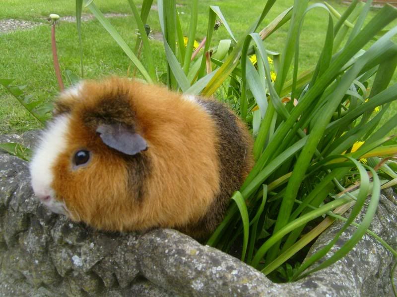 CasperCheeseArranHarry092.jpg