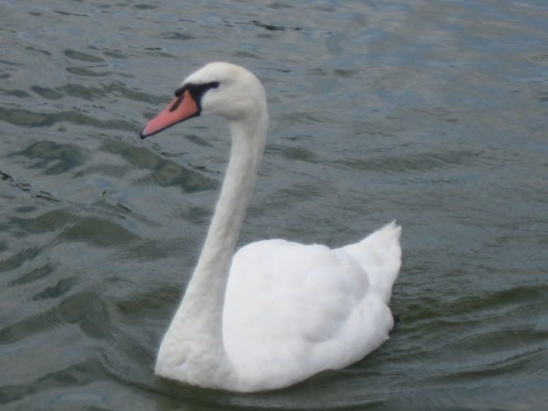 Portsmouth021.jpg