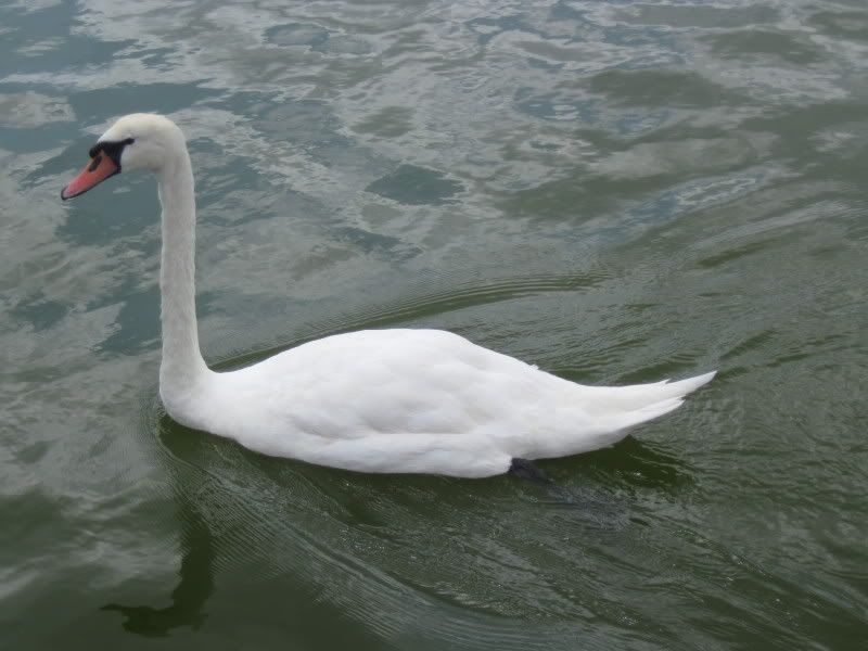 Portsmouth022.jpg