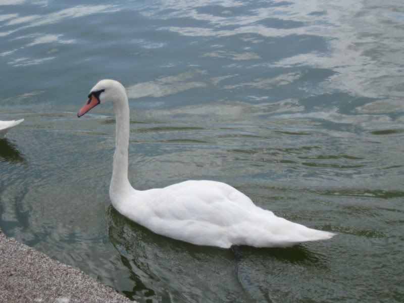 Portsmouth023.jpg