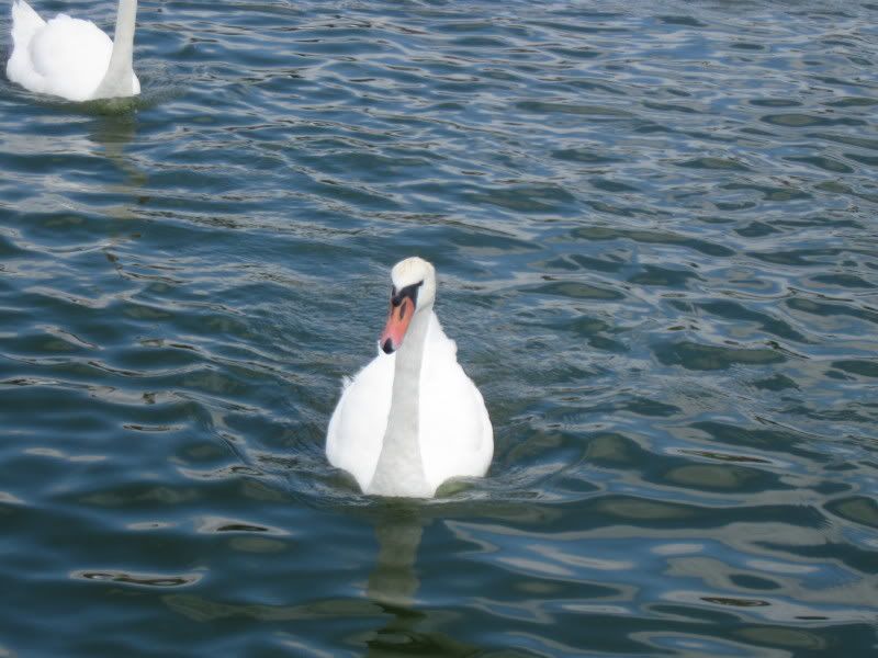 Portsmouth024.jpg