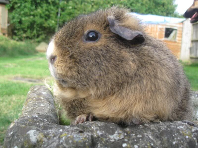 Bundlesoffur017.jpg