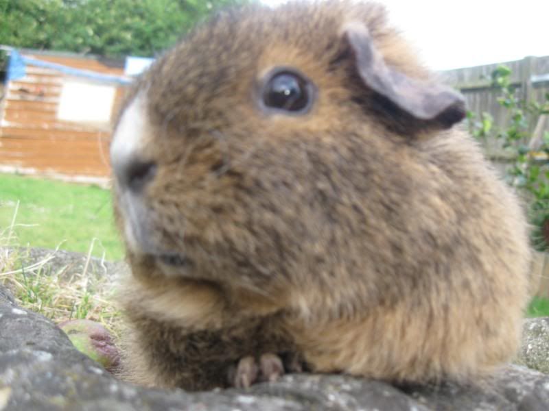 Bundlesoffur020.jpg