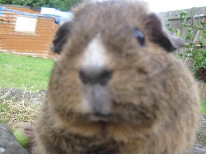 Bundlesoffur026.jpg