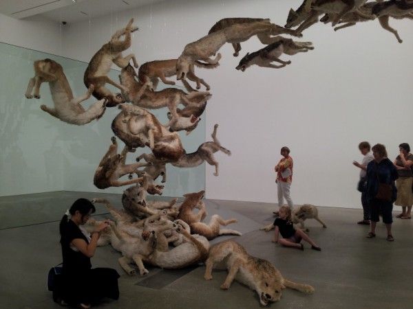 photo wolves7600x450_zps9c58f38d.jpg