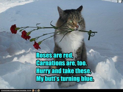Valentines Day photo rosesarered_zpscf65eb63.jpg
