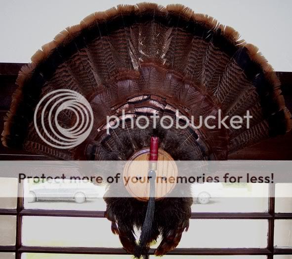 My Favorite Display using the Shotgun Shell - HuntingNet.com Forums