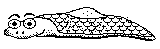 llimmach.gif
